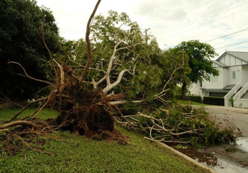 Wie betaalt de schade als de boom van de buren in een herfststorm op jouw dak valt?